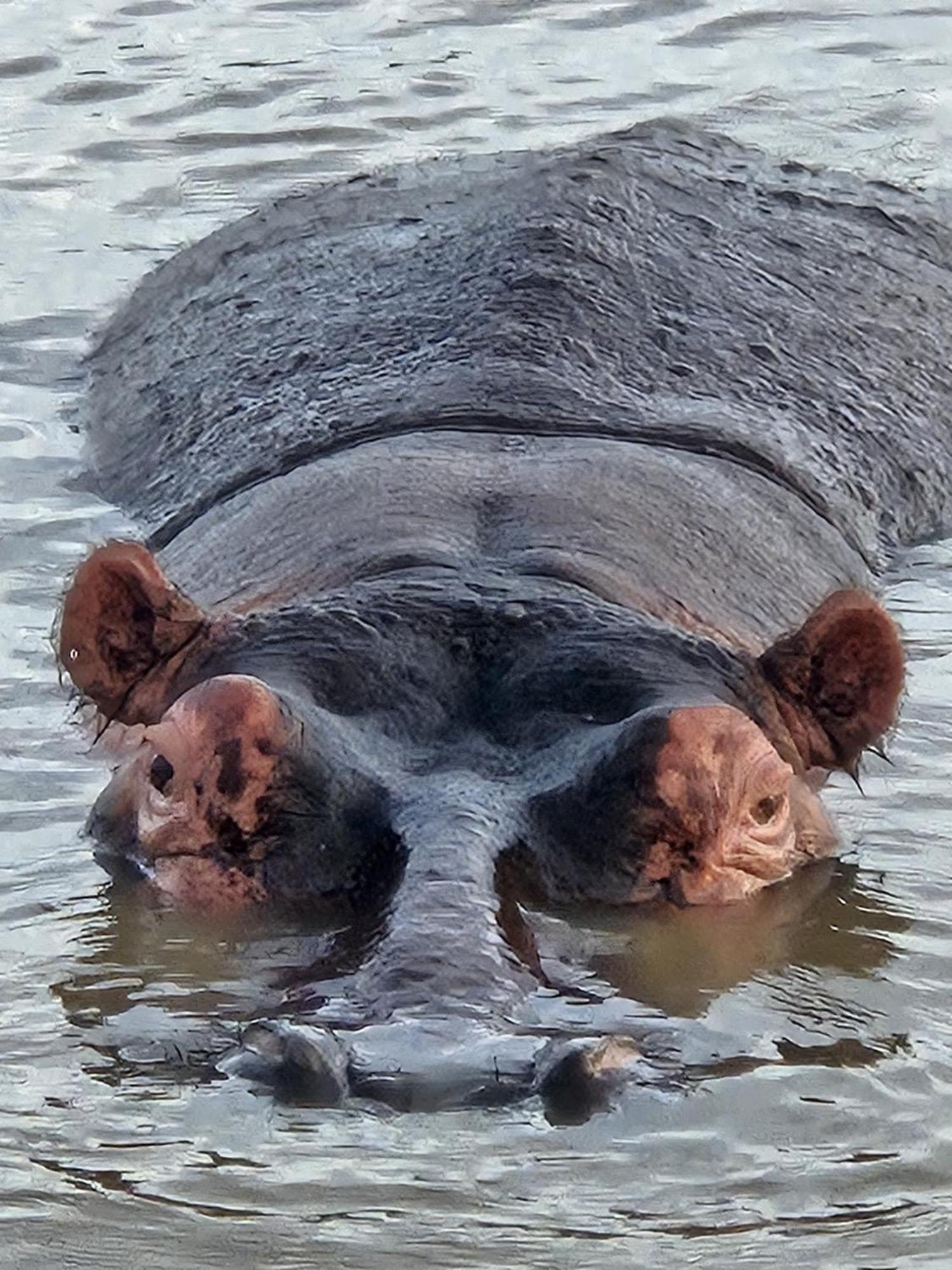 Whalesong Guest House Saint Lucia Estuary Esterno foto